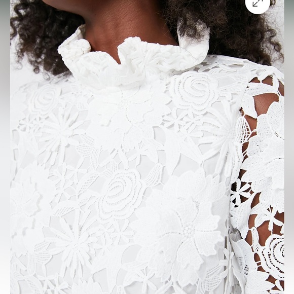 TUCKERNUCK Blanc Guipure Lace Daphne Dress - Picture 5 of 11